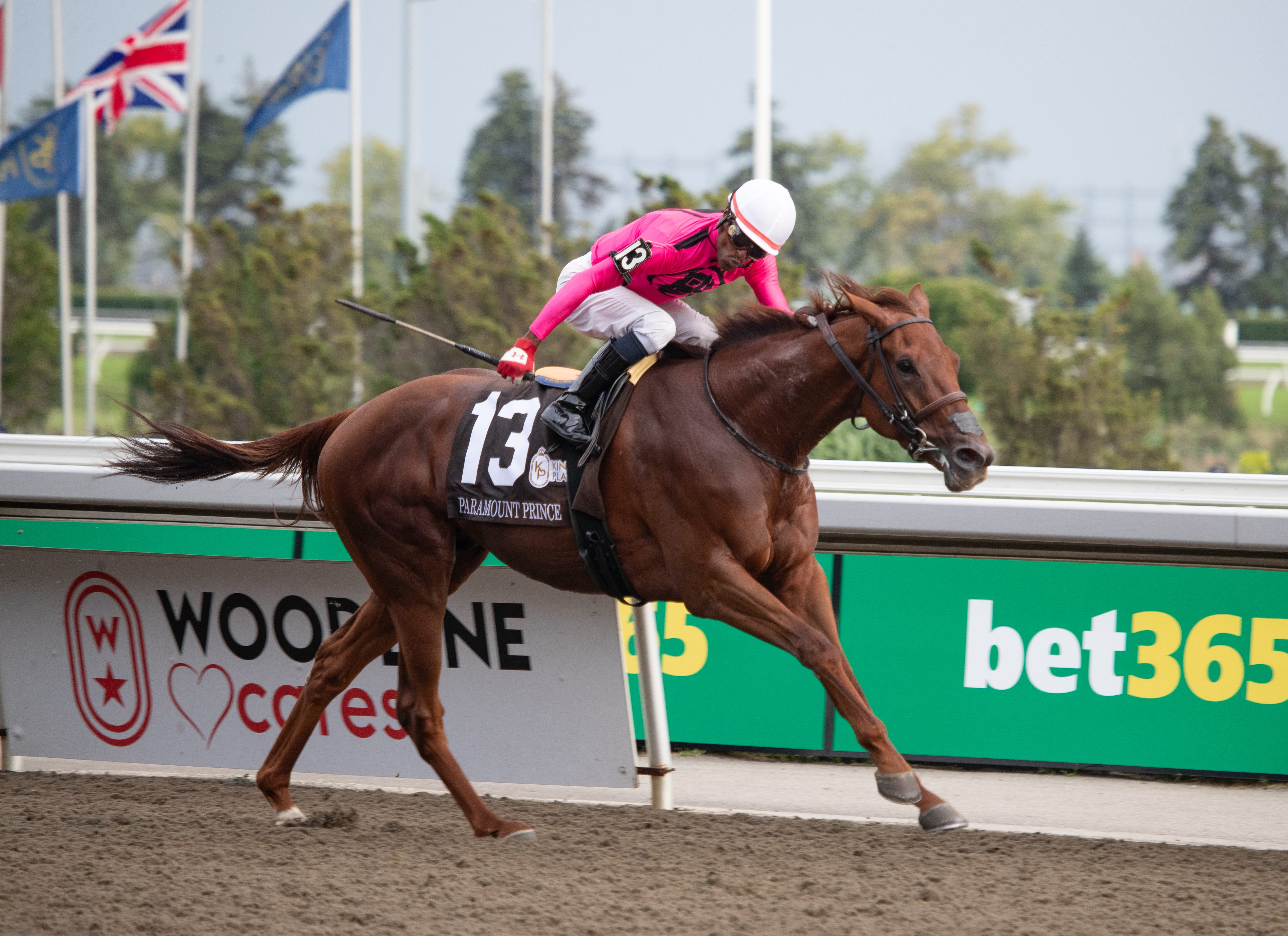 King's Plate hero Paramount Prince makes dirt debut in Prince of Wales